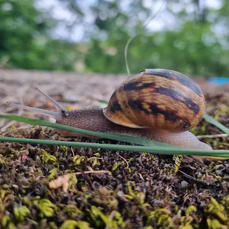 La Ferme De Jeanne Bed & Breakfast 3*