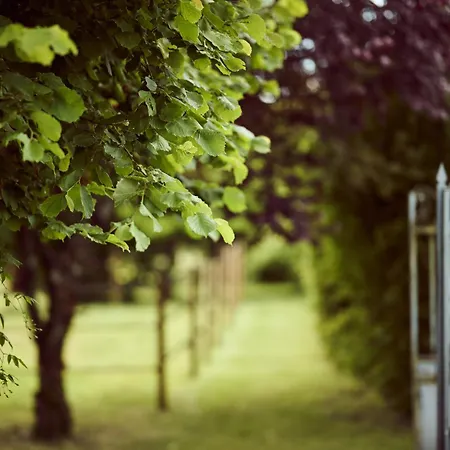 La Ferme De Jeanne Francescas