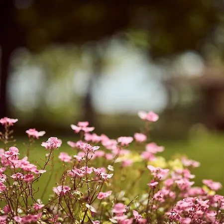 La Ferme De Jeanne Bed & Breakfast Francescas