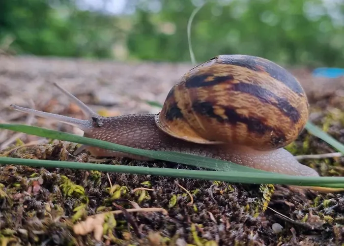 La Ferme De Jeanne Bed & Breakfast 3*