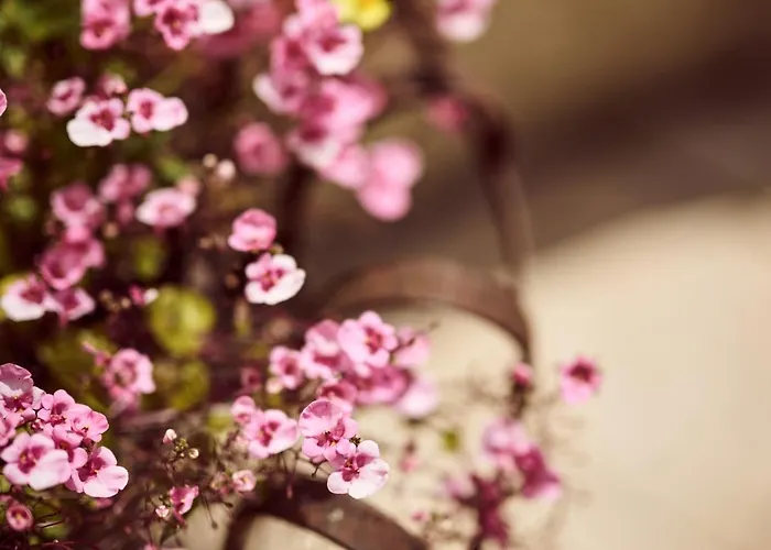 La Ferme De Jeanne 3*