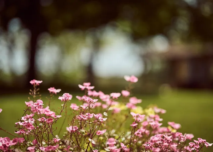 La Ferme De Jeanne Bed & Breakfast Francescas