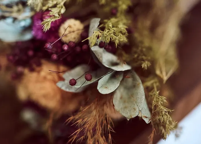 La Ferme De Jeanne Bed and Breakfast 3*